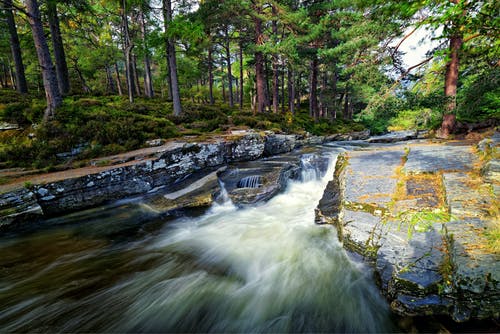 瀑布在森林中间 · 免费素材图片