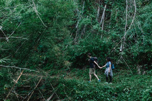 2名男子在森林上行走 · 免费素材图片