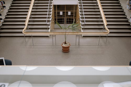 建筑物的大厅上的绿色盆栽的植物 · 免费素材图片