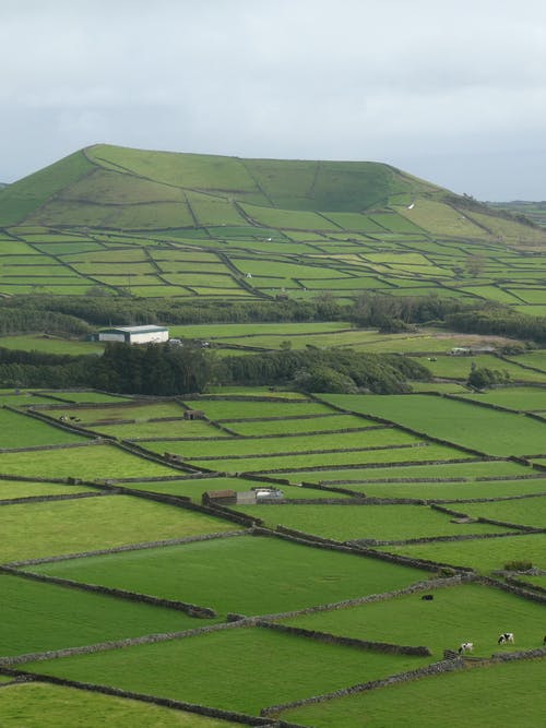 绿草地 · 免费素材图片