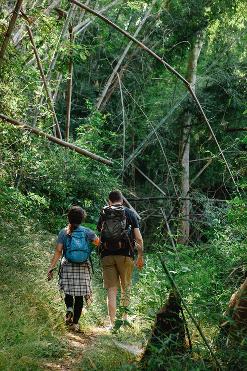 蓝色的t恤和棕色的短裤，背着背包走在森林里的男人 · 免费素材图片