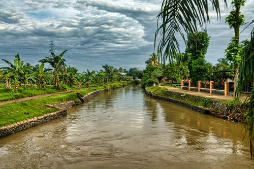 有关分公司, 和平的, 地平线的免费素材图片