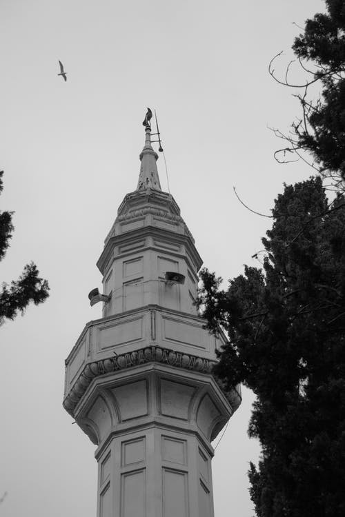 有关低角度拍摄, 垂直拍摄, 塔的免费素材图片