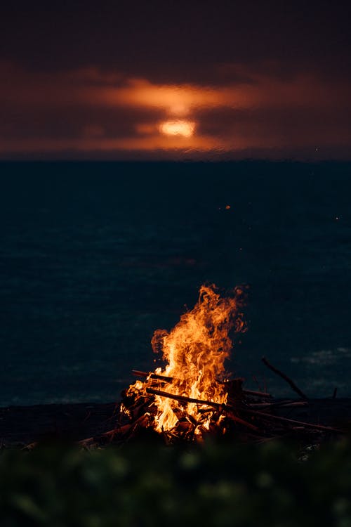 夜间在棕色木原木上火 · 免费素材图片
