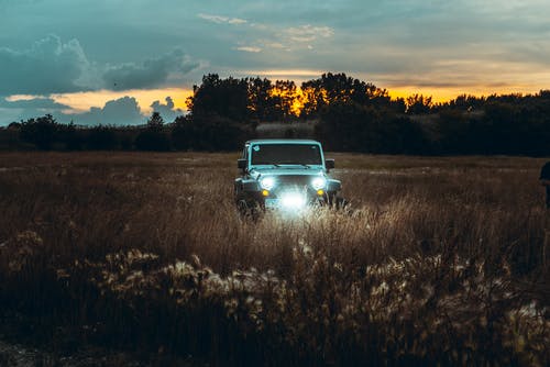 在日落的棕色草地上的蓝色车 · 免费素材图片