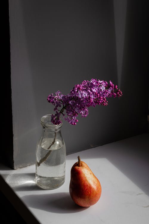 透明玻璃花瓶中的紫色花 · 免费素材图片