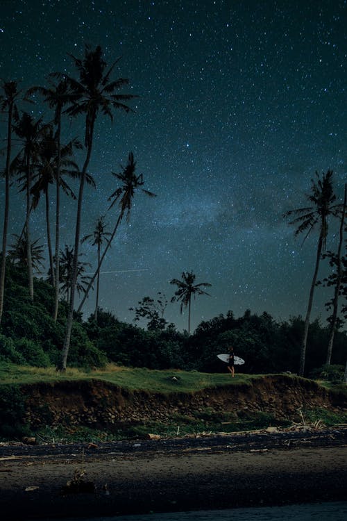 有关人, 印尼, 垂直拍摄的免费素材图片