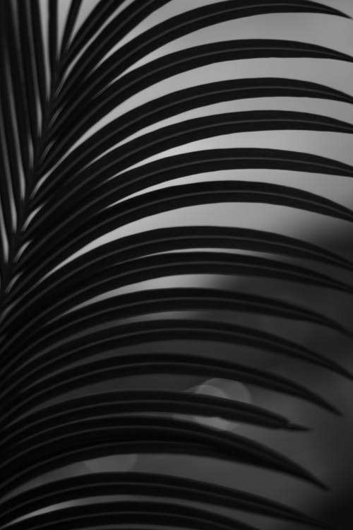 黑白条纹纺织 · 免费素材图片