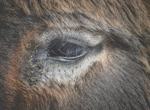 有关全画幅, 冷静, 利益的免费素材图片