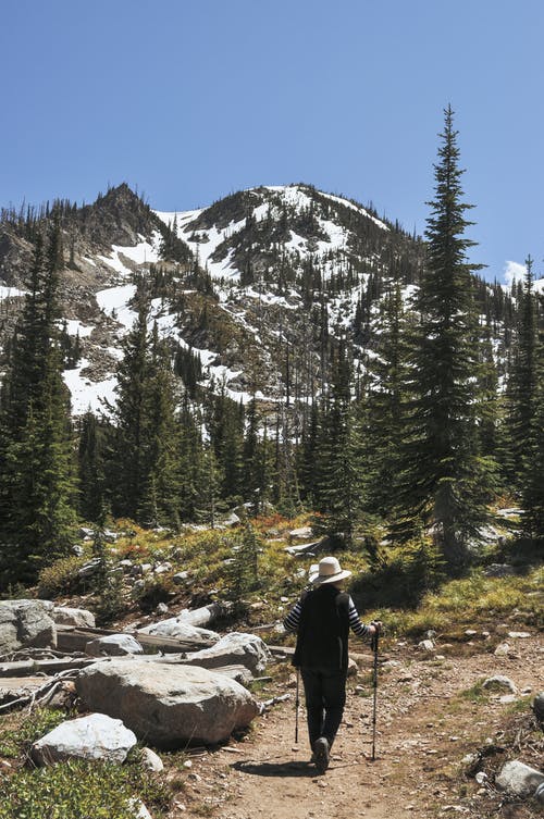 黑夹克的人站在绿色的松树和冰雪覆盖的山附近的岩石地面上 · 免费素材图片