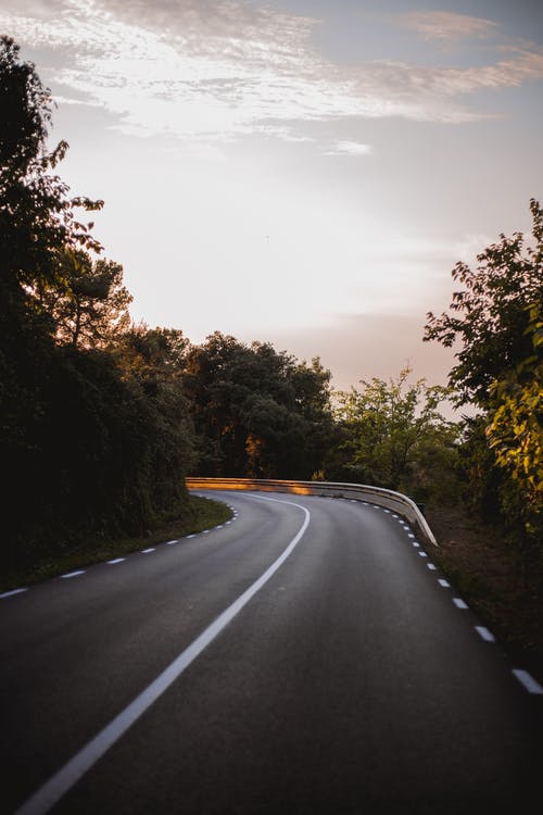 绿树之间的灰色混凝土路 · 免费素材图片