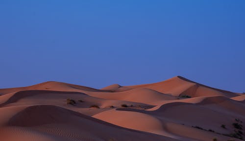有关乾的, 水平拍摄, 沙漠的免费素材图片