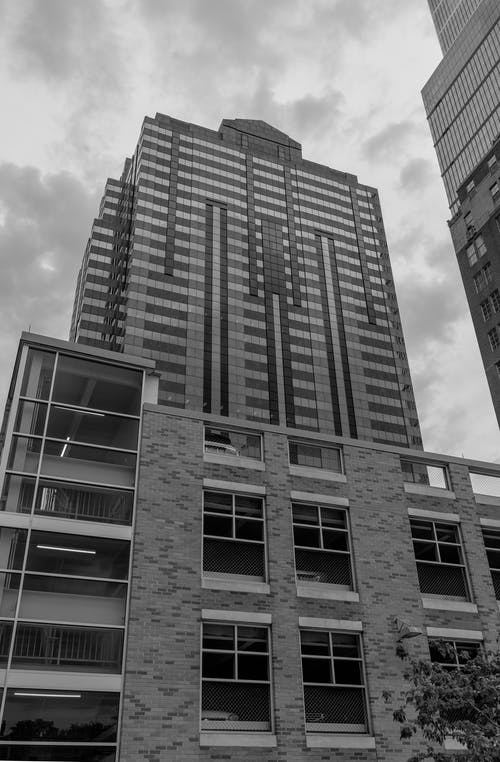 有关低角度拍摄, 单色, 垂直拍摄的免费素材图片