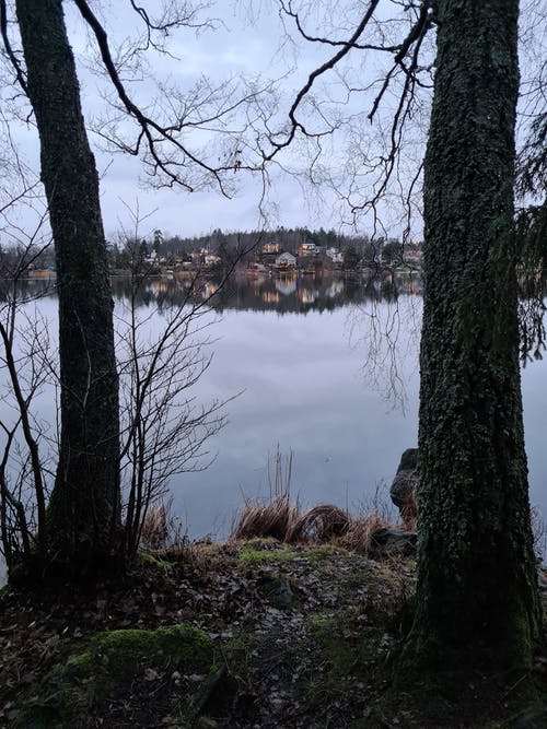 有关垂直拍摄, 城镇, 坏心情的免费素材图片