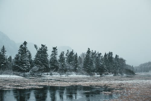 有关不变, 冬季, 冰的免费素材图片