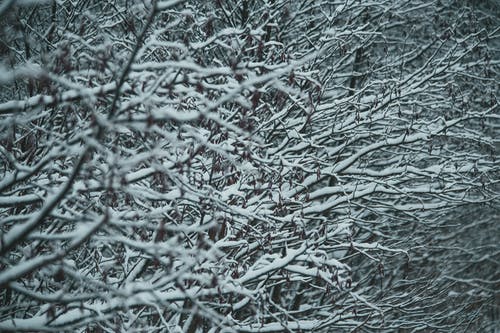 有关Copyspace, 全画幅, 冬季的免费素材图片