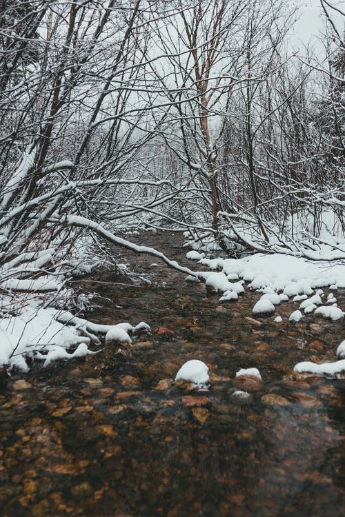 有关不变, 不均匀的, 冬季的免费素材图片
