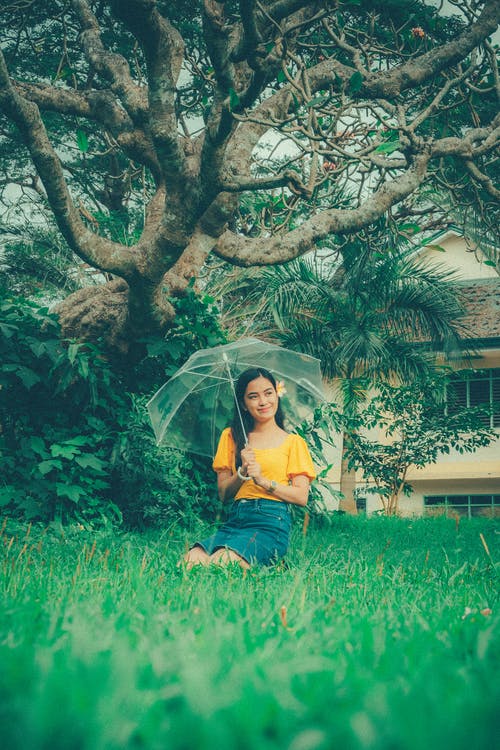 有关乐天派, 公园, 凝视的免费素材图片