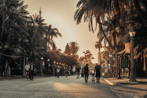 有关圣地亚哥, 日落, 棕榈树的免费素材图片