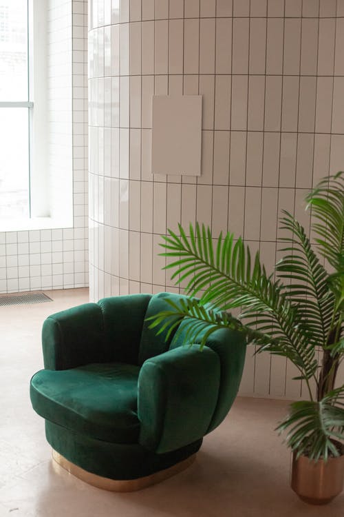 绿叶厂附近的绿色皮革沙发椅 · 免费素材图片