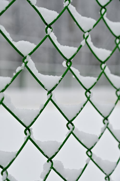 有关冬季, 垂直的, 大雪覆盖的免费素材图片