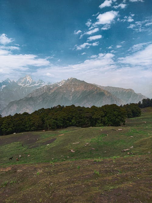 有关垂直的, 天性, 山的免费素材图片
