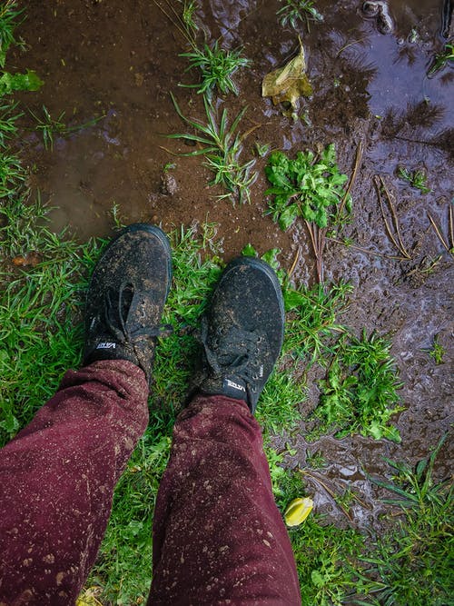 有关垂直拍摄, 泥泞, 湿的免费素材图片