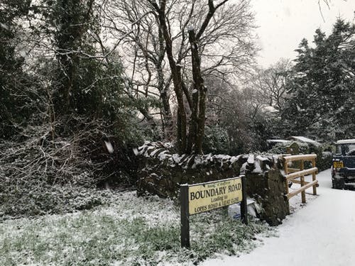 有关下雪, 冬季, 冷的免费素材图片