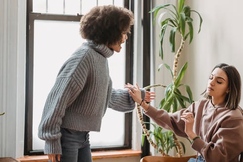 拿着绿色植物的灰色礼服衬衫和蓝色牛仔布牛仔裤的人 · 免费素材图片