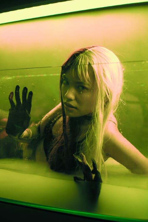 有关垂直的, 女人, 工作室拍摄的免费素材图片