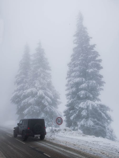 松树附近积雪覆盖道路上的黑色汽车 · 免费素材图片