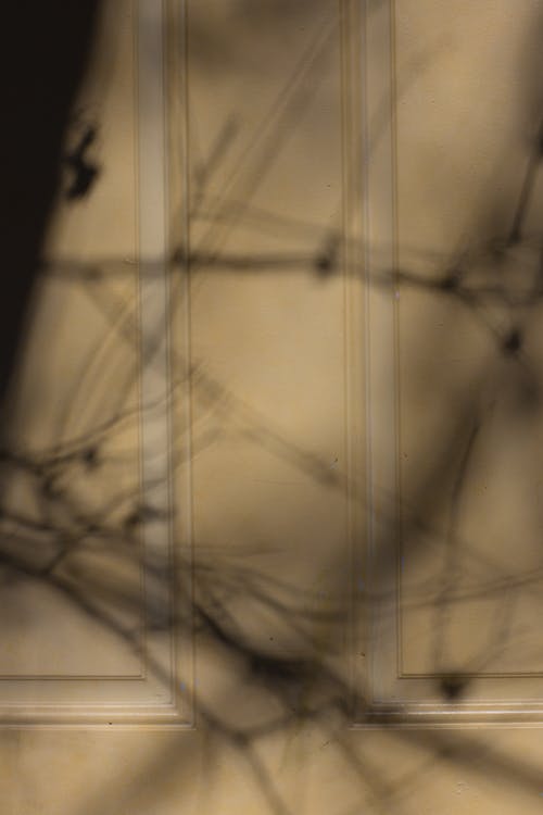 黑色和白色抽象绘画 · 免费素材图片