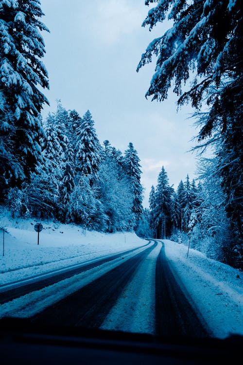有关公路旅行, 冬季, 冷的免费素材图片