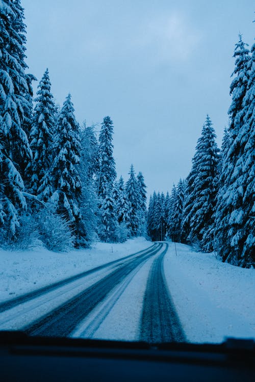 有关公路旅行, 冬季, 冷的免费素材图片