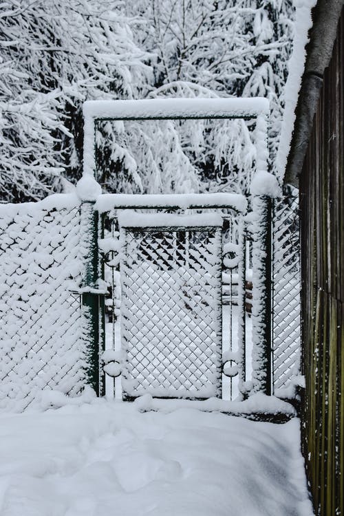 有关下雪的, 冬季, 冻结的的免费素材图片