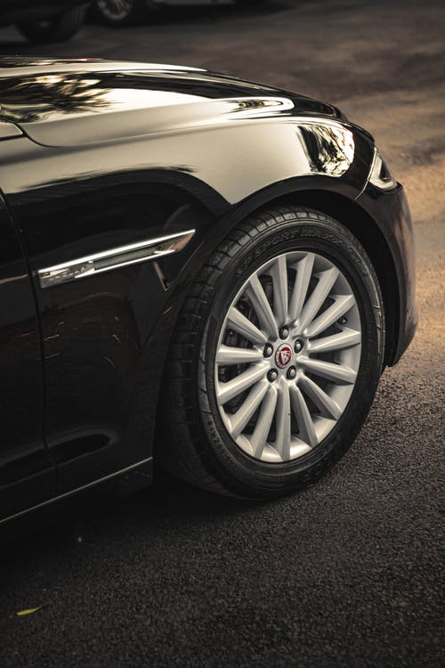 有关垂直拍摄, 捷豹, 特写的免费素材图片