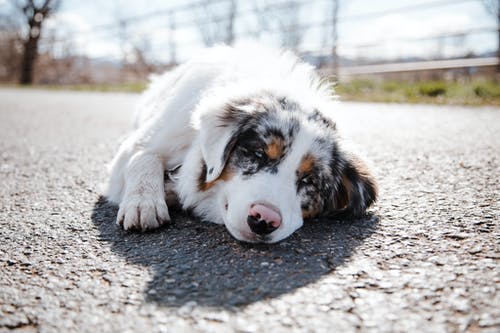 有关休息, 伴侣, 公园的免费素材图片