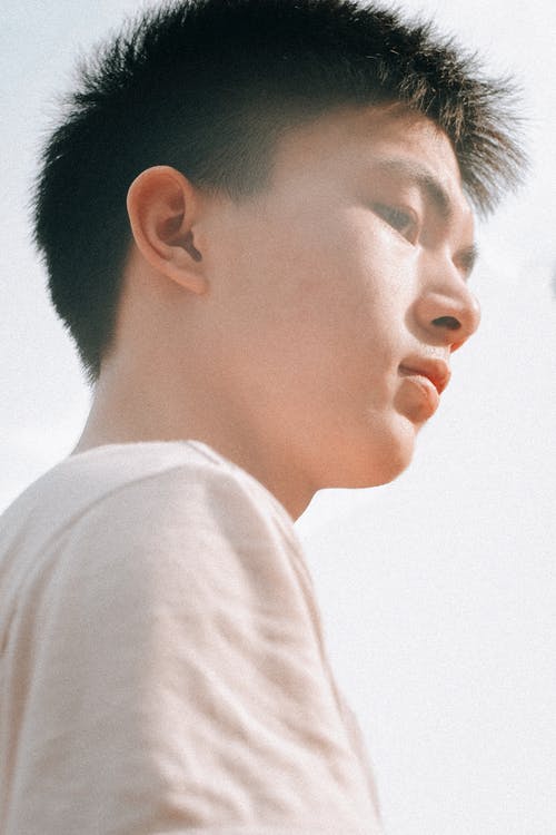 有关低角度拍摄, 年轻, 档案的免费素材图片