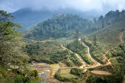 有关农事, 农艺学, 国家的免费素材图片