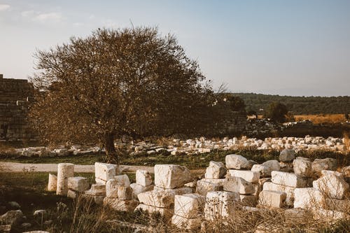有关地平线, 块, 树木的免费素材图片