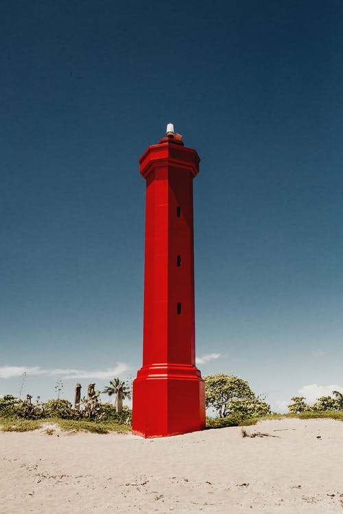 有关coroa vermelha, 土地, 垂直拍摄的免费素材图片