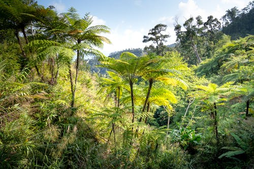 有关不变, 地平线, 场景的免费素材图片