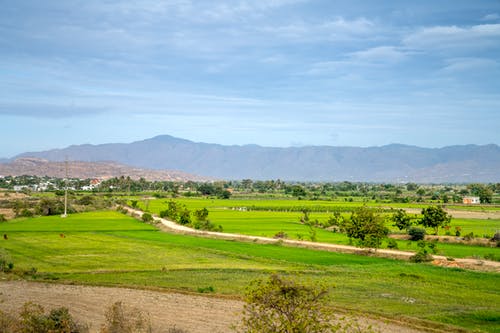有关不均匀的, 人行道, 华丽的的免费素材图片