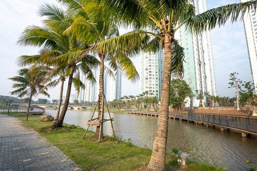 有关不动产, 中央, 住的免费素材图片