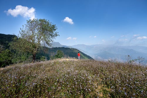 有关不露面, 佩服, 健行的免费素材图片