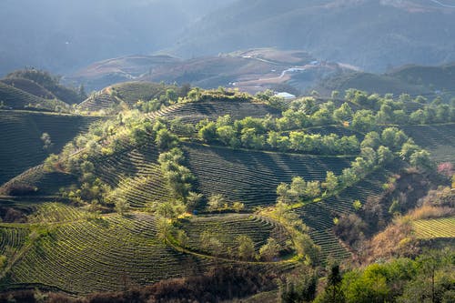 有关光, 和平的, 和谐的免费素材图片