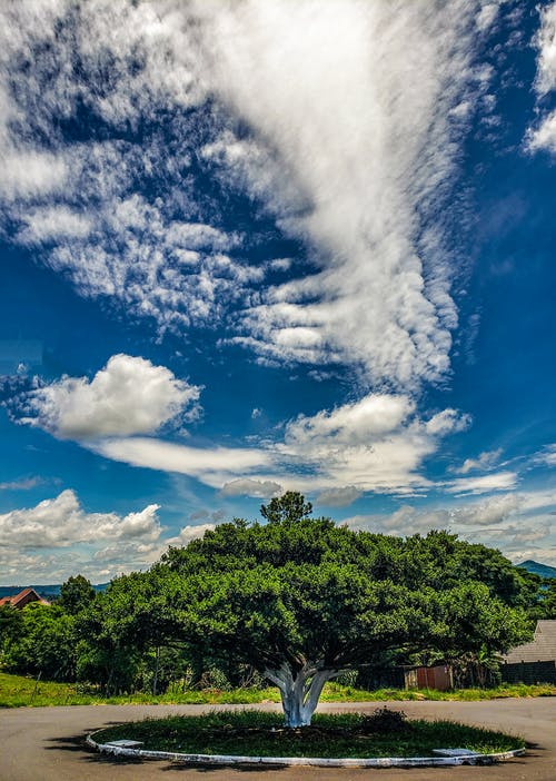 有关@户外, 卷云, 垂直拍摄的免费素材图片