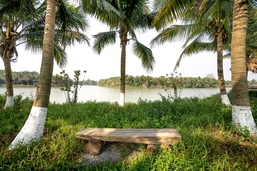 有关休息, 公园, 冷静的免费素材图片