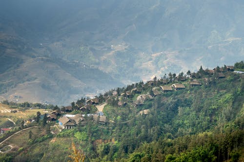 有关充满活力, 光, 和平的的免费素材图片