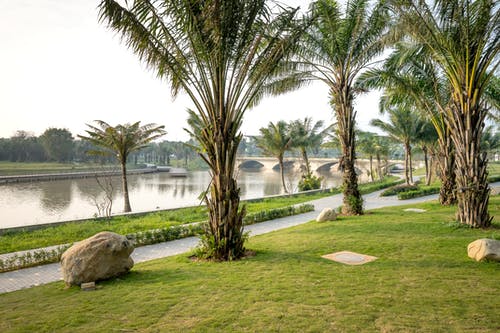 有关公园, 冷静, 和平的的免费素材图片